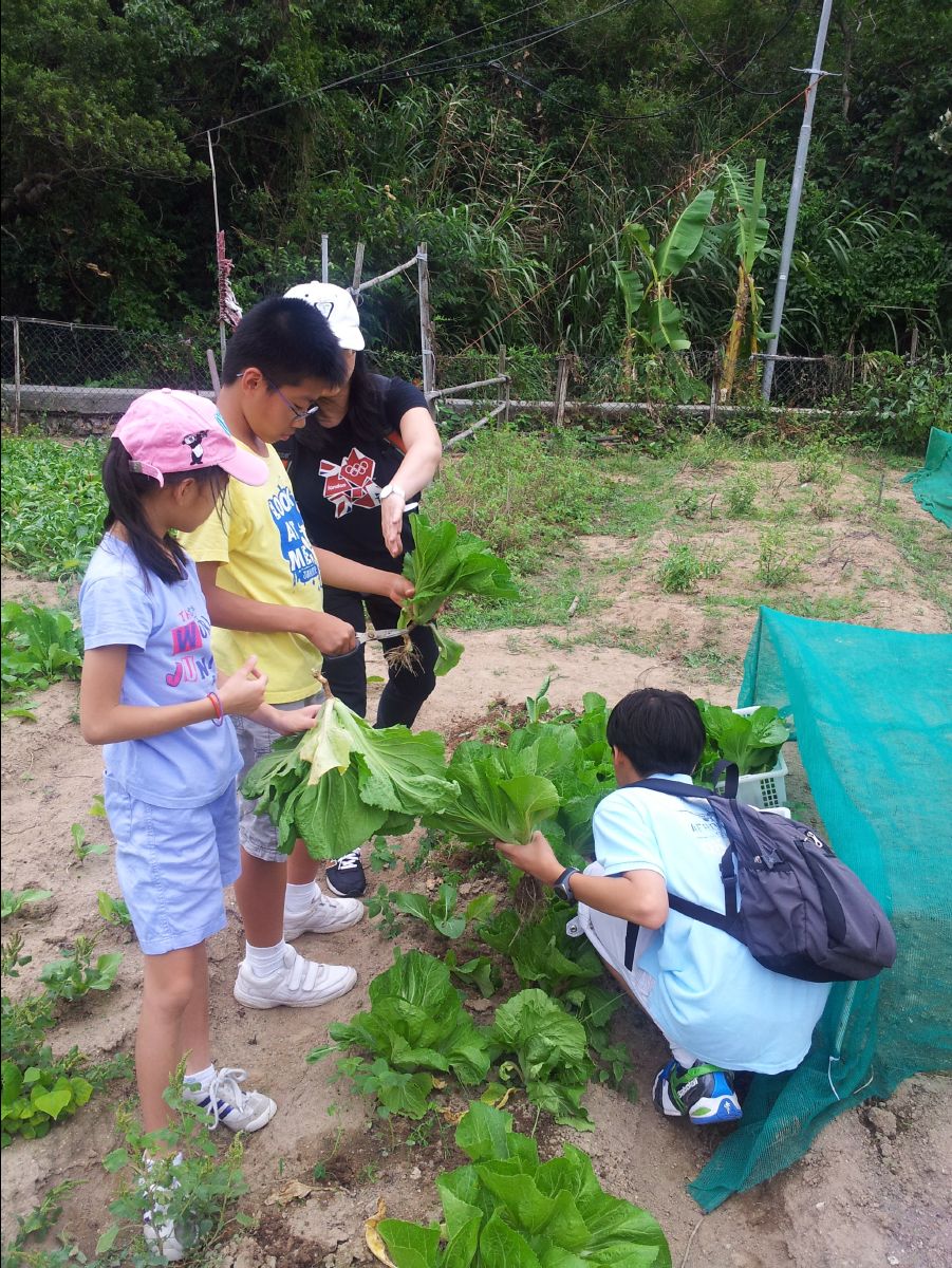20121028 Organic Farm17